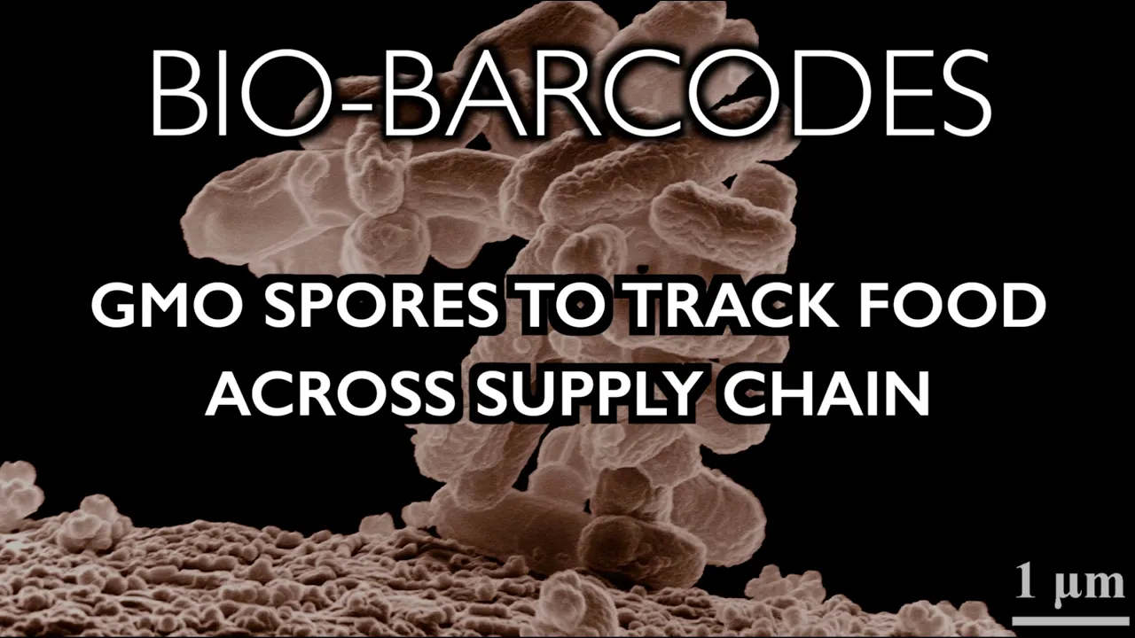 Bio-Barcodes: GMO Spores Hidden in Food to Track Supply Chain