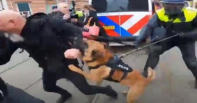 Massive Polizei-Brutalität: Beamte hetzen Hunde ohne Maulkorb auf Demonstranten